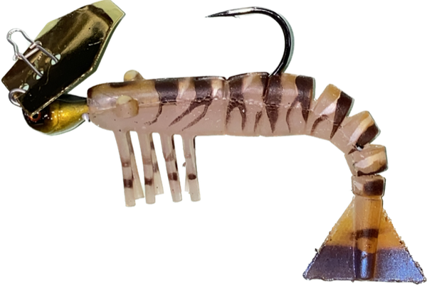 5" Chatter Shrimp
